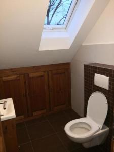 a bathroom with a white toilet and a skylight at Chalupa pod dubem , Hlinov , Novohradské hory , Nové Hrady in Nové Hrady