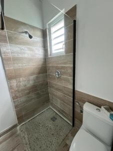 a bathroom with a shower with a toilet and a window at Villa SALINA in Trois-Rivières