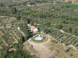 A bird's-eye view of Agriturismo Mercurio