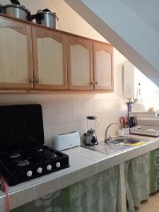 a kitchen counter with a stove and a sink at ifrane house in Ifrane