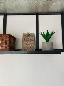 a shelf with a potted plant and a basket at Genex 37 in Novi Beograd