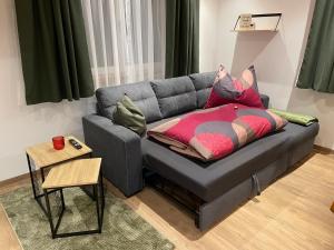 a grey couch with pillows on it in a living room at Appartement Bergsicht in Leogang +10 photos