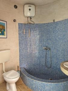 a bathroom with a blue tiled shower and a toilet at Torre Sabina in Vila do Porto