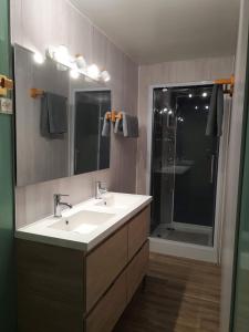un bagno con un lavandino bianco e una doccia di Gîte Les Hortensias a Vaas