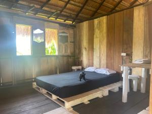 a bed in a wooden room with a cat sitting on it at Punta Arena EcoHostal & EcoFit - Your Eco-Friendly Oasis 02 in Playa Punta Arena