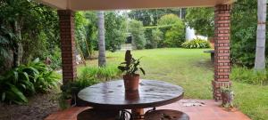 una mesa de patio con una maceta. en Casa MOVA en San Lorenzo