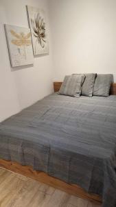 sypialnia z łóżkiem i szarym kocem w obiekcie Appartement 30m² w mieście Pourrières