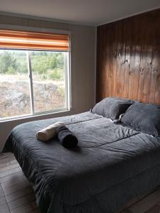 a bed with a pillow and a window in a bedroom at Cabañas y Tinajas FERISI in Cochrane