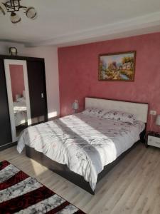 1 dormitorio con 1 cama grande y pared de color rosa en Casa M&M, en Vişeu de Sus