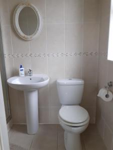a bathroom with a toilet and a sink at Killooley Lodge in Tullamore