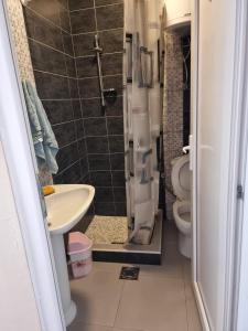a bathroom with a shower and a sink and a toilet at HM Apartmani in Bar