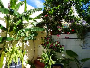 Zahrada ubytování Hostal Campo Nuevo