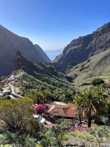 vistas a un valle con palmeras y montañas en Live Masca - Estudio casas morrocatana Tenerife en Masca