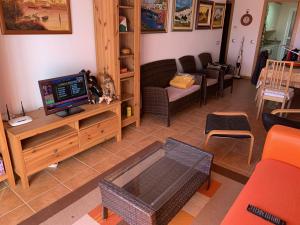 een woonkamer met een tv en een bank bij Apartamento turístico 2 hab. in Vera