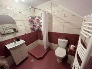 a bathroom with a toilet and a sink and a shower at Casa Ana Maria in Cisnădie