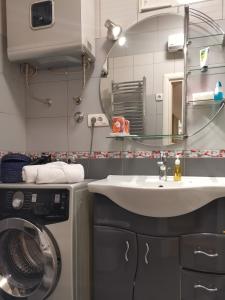 ベオグラードにあるStadion apartmanのバスルーム(シンク、洗濯機付)