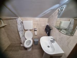 a bathroom with a toilet and a sink at CABANA MERISORULUI in Borşa