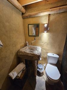 a bathroom with a stone sink and a toilet at Glamping El Árbol en la Casa in San Antonio del Tequendama