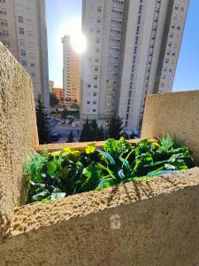 Budynek, w którym mieści się apartament
