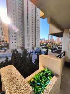 Balkon lub taras w obiekcie Playa Levante Lux Mar