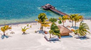 een luchtzicht op een strand met palmbomen en een resort bij Sunview Residence in Kaashidhoo