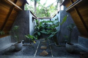 a small courtyard with plants in a house at Cinnamon Paradise Nature Room in Ahangama