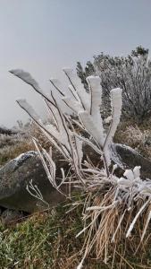 Pousada nevadas da Serra durante o inverno