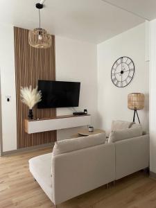 Televízia a/alebo spoločenská miestnosť v ubytovaní Charmant appartement avec terrasse et parking - Centre ville