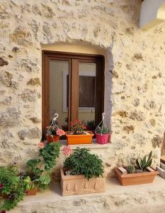 una ventana con macetas en una pared de piedra en GS Home en Gytheio