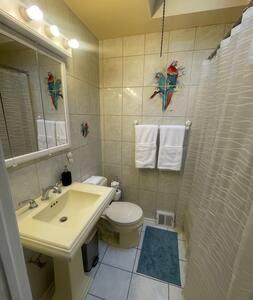 W łazience znajduje się umywalka, toaleta i prysznic. w obiekcie Nolibs Green Haven Sleeps 12 w Filadelfii