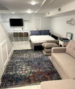 uma sala de estar com um sofá e um tapete em Northern Liberties Fishtown Central Cozy Quaint em Filadélfia