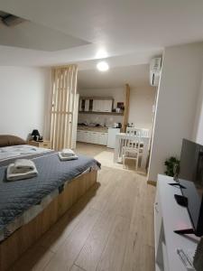 1 dormitorio grande con 1 cama y cocina en Apartmani S - DSN en Kraljevo