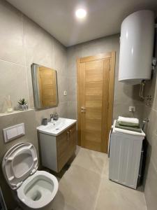 a bathroom with a toilet and a sink at Apartman ConVista Zlatibor in Zlatibor