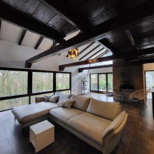 a living room with a couch and a fireplace at Architektenhaus am Waldrand mit Sauna in Schwabach