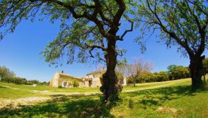 an old house in a field with trees at La Rivayne in Lourmarin