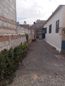 Une allée entre un bâtiment et un mur fleuri dans l'établissement Sweet Room, à Tequisquiapan
