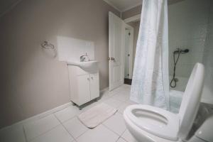a bathroom with a toilet and a sink and a shower at Bagualita Patagonia in Coihaique