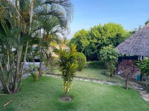 a garden with a palm tree and a building at One bedroom serviced apartment in Dar essalaam in Dar es Salaam
