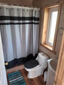 a bathroom with a toilet and a shower curtain at Ventisca Sur in Coihaique