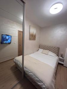 una camera con letto, specchio e TV di Gold Lux Home a Divčibare