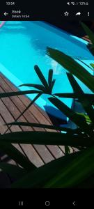 uma vista para uma piscina azul com uma planta em Recanto dos pássaros em Bombinhas