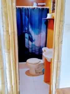 baño con aseo y cortina de ducha azul en Hostal Puerto Engabao Surf Shelter, en Engabao