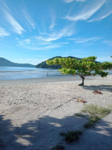 a tree on a sandy beach with the ocean at Meu cantinho in Ubatuba