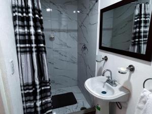a bathroom with a sink and a shower at Discover Condesa Ideal Location in Mexico City
