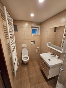 a bathroom with a toilet and a sink at Ubytování na kopečku in Beroun