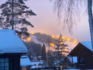 una ciudad cubierta de nieve con casas y luces de la calle en Tahkon mökki en Tahkovuori