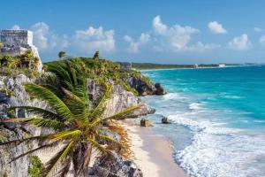 un palmier sur une plage au bord de l'océan dans l'établissement Amazing apartment in Tulum, à Mexico