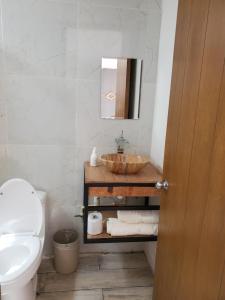uma casa de banho com um lavatório, um WC e um espelho. em Mini casa San José em Pénjamo