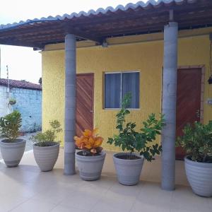 un grupo de plantas en macetas sentadas fuera de una casa en pousada cangaço, en São Gonçalo do Amarante