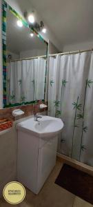 y baño con lavabo y ducha con cortina de ducha. en Departamento Allegretto Monoambiente en San Luis